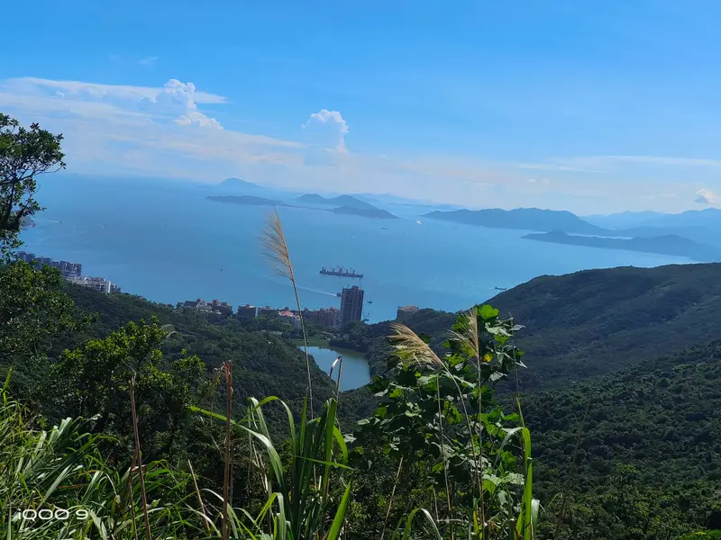 Hong Kong · 28