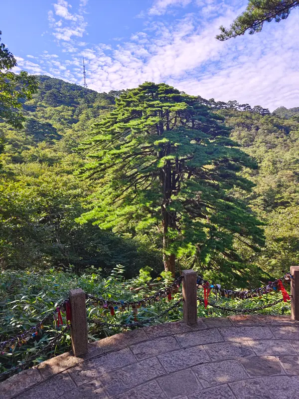 Huangshan · 07