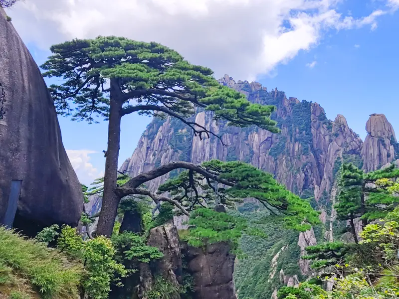 Huangshan · 68