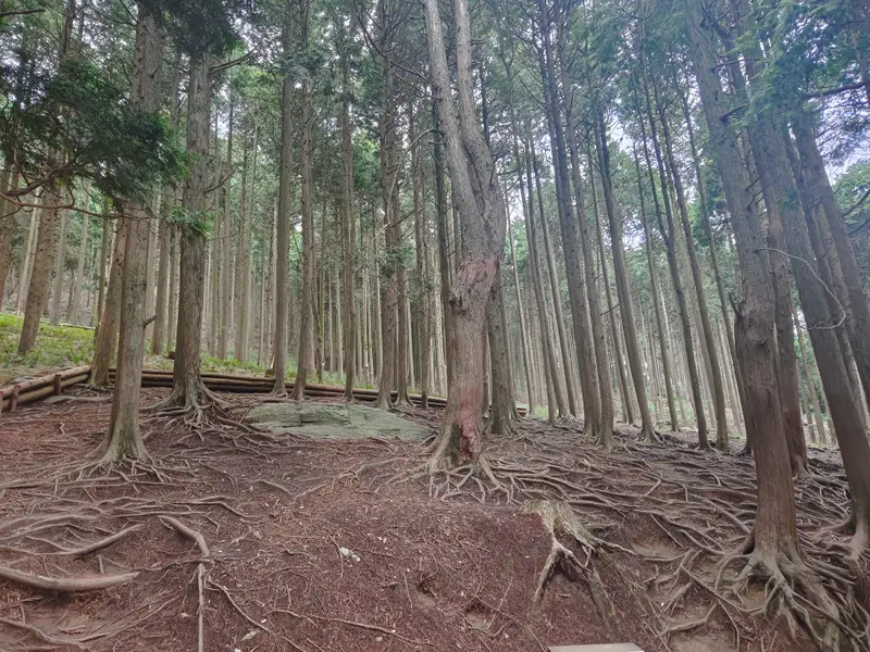 Lushan · 08