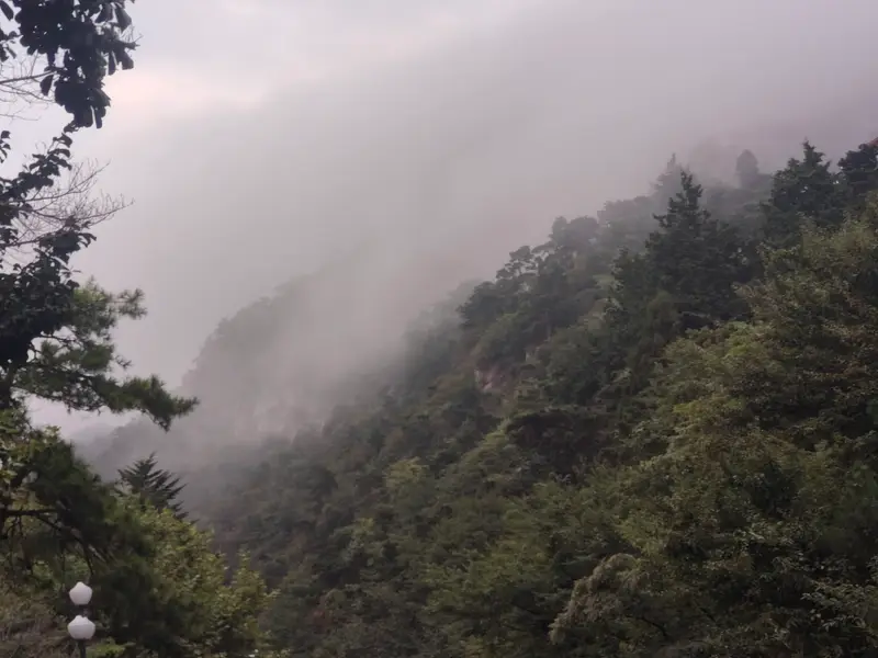 Lushan · 13