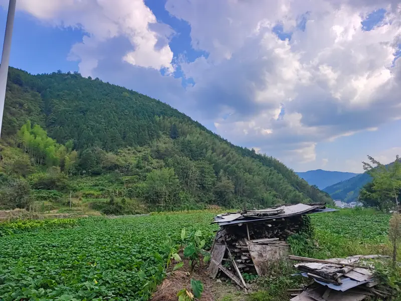 Mount Sanqing · 25
