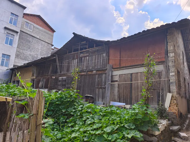 Mount Sanqing · 26