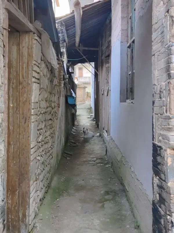 Mount Sanqing · 31