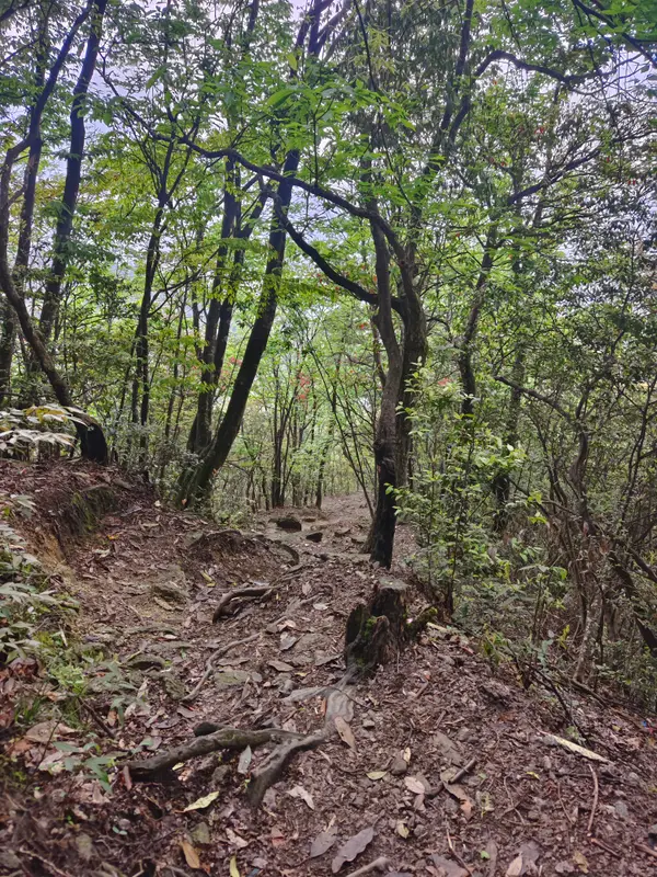 Wugong Mountain Shenming Route · 03