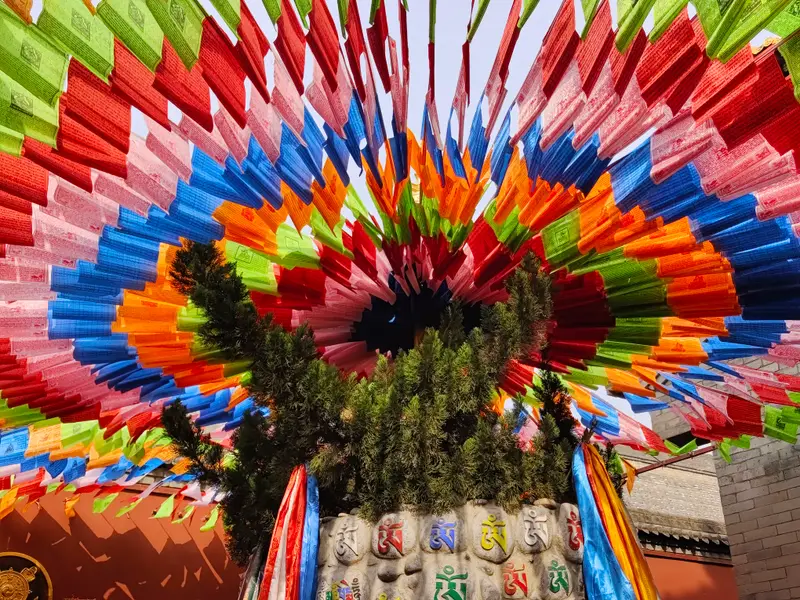 Xi'an · 16